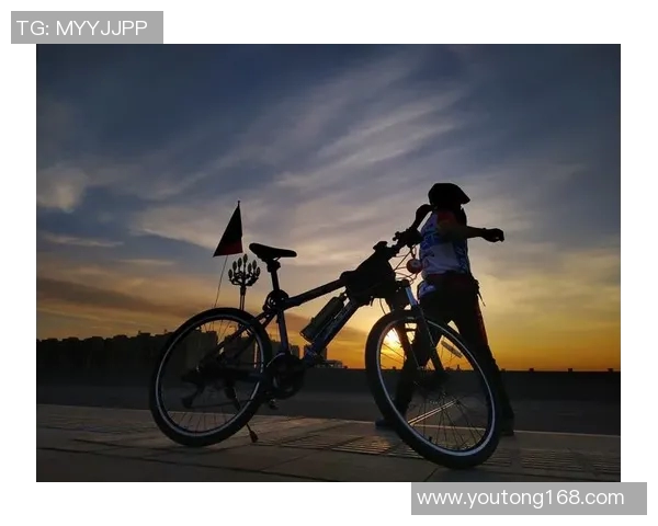 飞马与梦想的胜率较量探讨如何在追梦路上提升成功概率