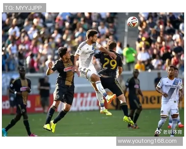 费城球队迎战辛辛那提挑战赛精彩纷呈球迷热情高涨