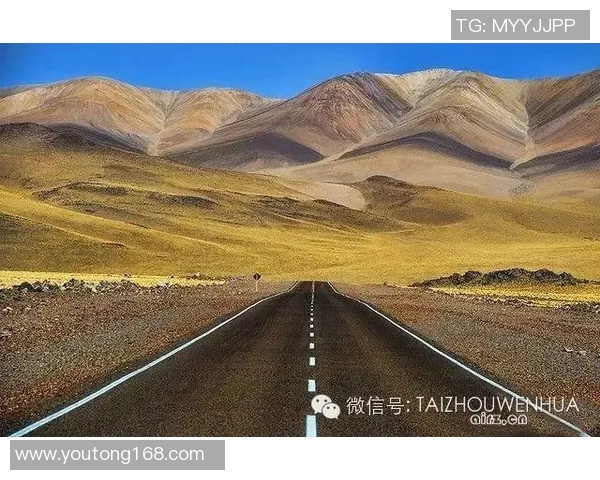 杨珺的成长之路：从平凡到卓越的奋斗故事与人生启示