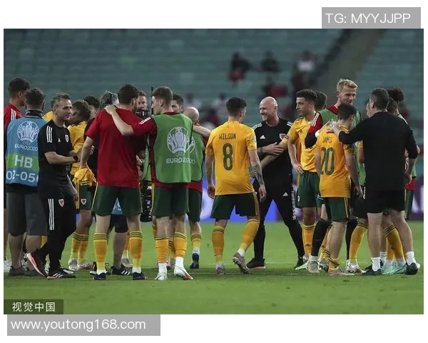 阿塞拜疆与威尔士足球对决阵容分析及比赛前瞻